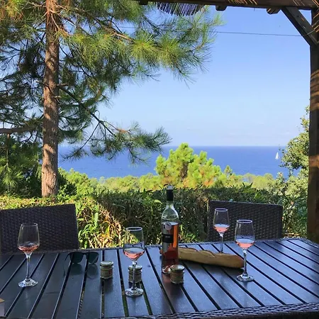 In Corsica Near Sandy *